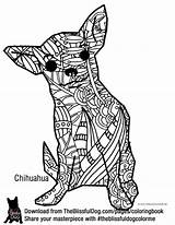 Coloring Chihuahua Dog Pages Adult Color Book Books Colouring Chihuahuas Theblissfuldog Bold Sheets Mandaly Dogs Blissful Choose Board sketch template