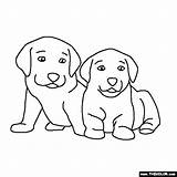 Coloring Puppies Dogs Two Pages Animals Baby Gif Thecolor sketch template