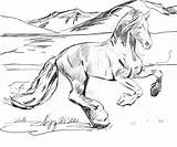 Horses Friesian Herd Coloringhome sketch template