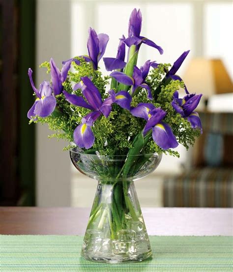 iris flowers irises fromyouflowers