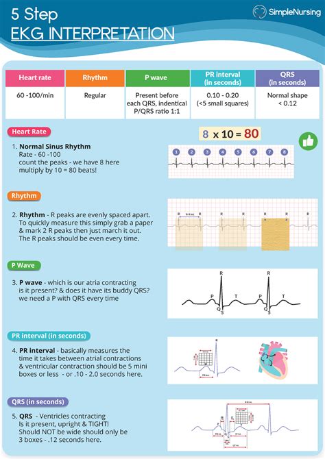 step ekg interpretation  step ekg interpretation heart rate