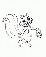 Coloring Squirrel Pages Animal sketch template