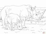 Rhino Coloring Baby Pages Mother Rhinos Printable Animal Color Drawings Realistic Main Drawing Animals Sheets sketch template