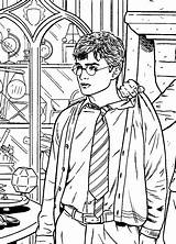 Potter Harry Coloring Pages Coloriage Phoenix Print Colouring Order Colorare Da Kids Book Di Ron Birthday Hermione Theme Disegni Categories sketch template
