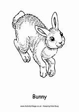 Colouring Bunny Coloring Pages Hopping Activityvillage Easter sketch template