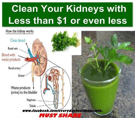 clean  kidneys pakistan social web