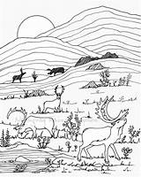Caribou Alaska sketch template