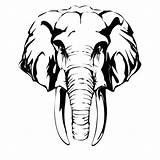 Elephant Head Drawing Face Clipart Coloring Wall Outline Clip Indian Animal Sticker Elephants Decal Line Front Cartoon Designs Animals Silhouette sketch template
