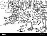 Piccolo Dinosauro Coelophysis Dino Isolato sketch template