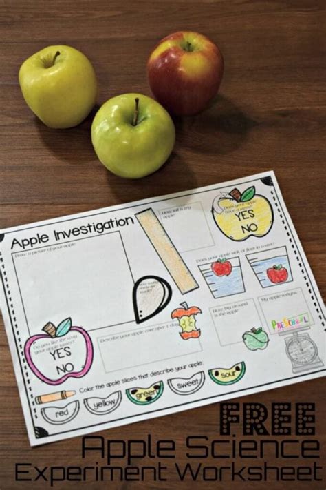 printable apple worksheets preschool