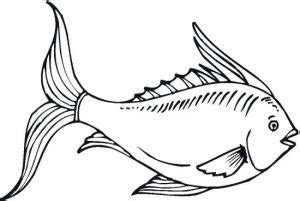 fish coloring pages  kids updated