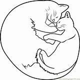 Cat Coloring Sleeping Kitten Cute Pages Mom Drawing Color Getdrawings Getcolorings Cats Coloringpages101 sketch template