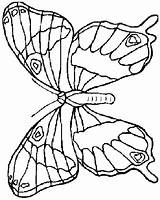 Farfalle Disegni Colorat Papillon Fluturi Imagini Mariposas Planse Bojanke Leptiri Colorare Bambini Coloriages Crtež Papillons Fluture Bojanje Desene Flori Printanje sketch template