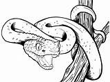 Viper Coloring Pages Snake Drawing Eyelash Color Getdrawings Printable Getcolorings Colori Print sketch template