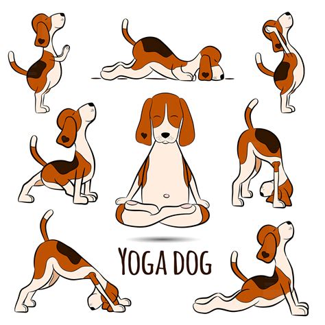 yoga dog  behance