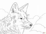 Coyote Coloring Pages Wolf Howling Moon Head Printable Easy Drawing Color Animals Colouring Opress Savage Getdrawings Real Supercoloring Getcolorings Super sketch template