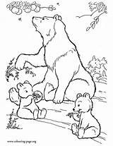 Bear Cubs Coloring Fruits Mother Eating Bears Printable Cute Her sketch template