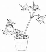 Origami Colouring Joostlangeveldorigami Nl Starshaped Flowers sketch template