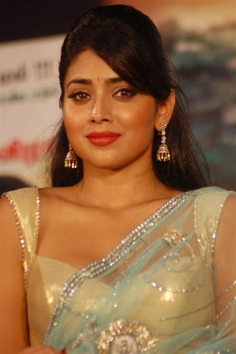 high quality bollywood celebrity pictures shriya saran sexy in saree