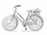 Bicicleta Fahrrad Coloring Bicycle Zeichnung Ausmalen Ausdrucken Blumenkorb Ausmalbild Colorironline Anleitung Anleitungen Bleistiftzeichnungen Schritt Malvorlagen Kostenlos Onlinecoloringpages sketch template