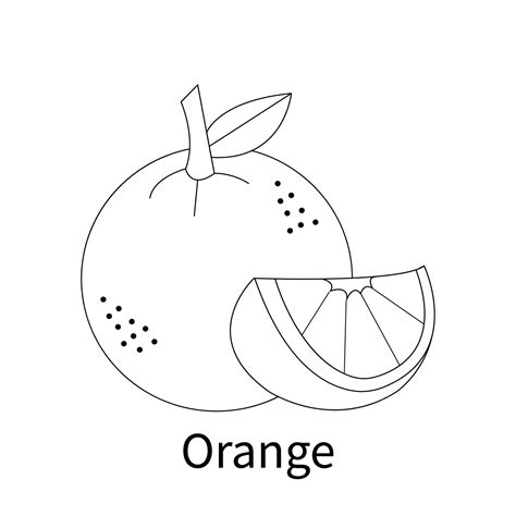 easy fruits coloring pages  kids  toddler orange  vector