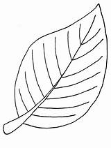 Leaf Coloring Printable Pages Kids Leaves Color Colouring Sheets Feuille Hojas Clipart Da Loading Coloriage Google Arbre Trees A4 Template sketch template