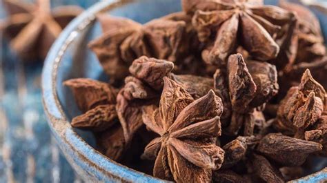 star anise benefits   potential risks