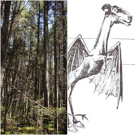 the chilling legend of the jersey devil