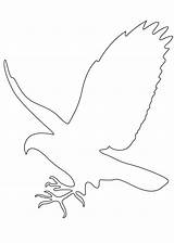 Outline Falcon Coloring Pages Hawk Bird Kids Clipart Draw Silhouette Printable Template Drawings Birds Cliparts Kindergarten Colouring Templates Color Preschool sketch template