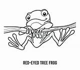 Frog Tree Red Coloring Eyed Pages Eye Getcolorings Getdrawings sketch template