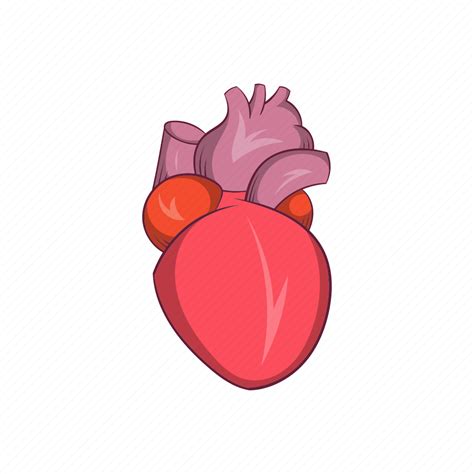 anatomy cartoon heart human medical organ sign icon