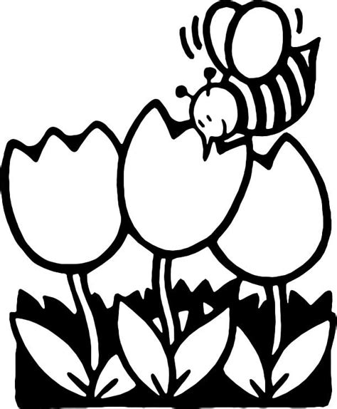 bee coloring page  kids  printable picture