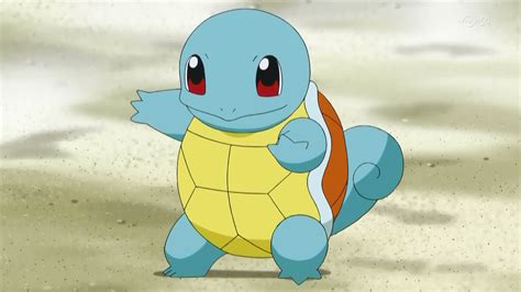 fun  interesting facts  squirtle  pokemon tons  facts