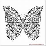 Mandalas Ausdrucken Schmetterlinge Schmetterling sketch template