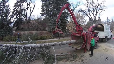 tree removal   tech drones  colorado springs mountain high tree care consulting