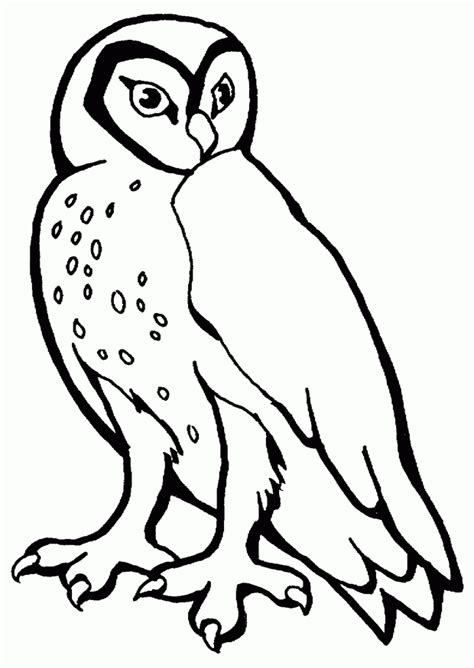 owl template printable