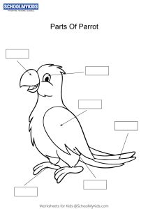 label  color  parts   parrot worksheets  kindergartenfirst