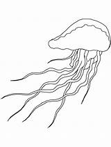 Jellyfish Coloring Pages Fish Printable sketch template