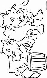Coloring Pages Clipartbest Cows Kids Clipart sketch template
