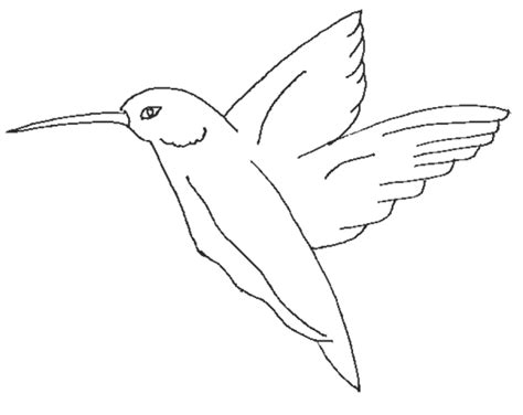 flying birds pictures  colouring  good pix gallery bird coloring pages coloring