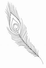 Feather Peacock Coloring Pages Drawing Eagle Outline Feathers Bird Turkey Line Easy Color Printable Drawn Getcolorings Getdrawings Template Paintingvalley Sketch sketch template