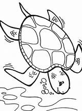 Turtle Coloring Sea Pages Printable Deep Diver Color Box Cartoon Turtles Getcolorings Colouring Drawing Getdrawings Template sketch template