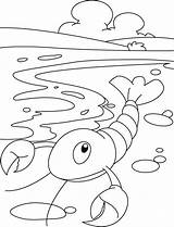 Lobster Coloring Pages Little sketch template