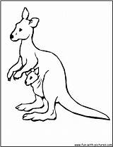 Kangaroo Coloring Pages Color Clipart Australian Animals Wallabies Print Kids Cute Printable Drawing Cartoon Getdrawings Clipground Library Fun sketch template