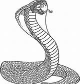 Snake Coloring Pages Cobra Drawing King Snakes Printable Kids Color Clipart Realistic Python Serpent Sheet Library Japanese Clip Book Spitting sketch template