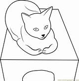 Cat Box Coloring Sitting Pages Printable Kids Color Coloringpages101 sketch template