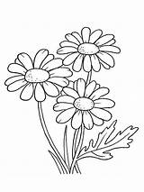 Daisy Coloring Pages Kids Flower Flowers Daisies Print Drawing Bouquet Adult Patterns Embroidery Hand Visit Sheets sketch template