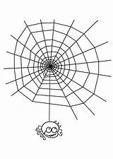 Spinnennetz Spinne Malvorlage Webs Abbildung Große sketch template