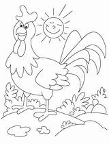 Coloring Rooster Pages Farm Animals Funny Animal Kids Clipart Printable Book Getcolorings Library Color Popular sketch template