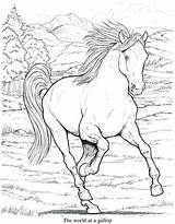 Coloring Running Pages Horses Horse Getcolorings Color sketch template